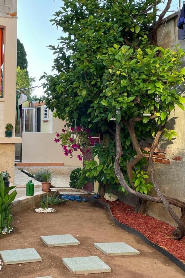 Lumar Holidays And Apartments Preko Extérieur photo
