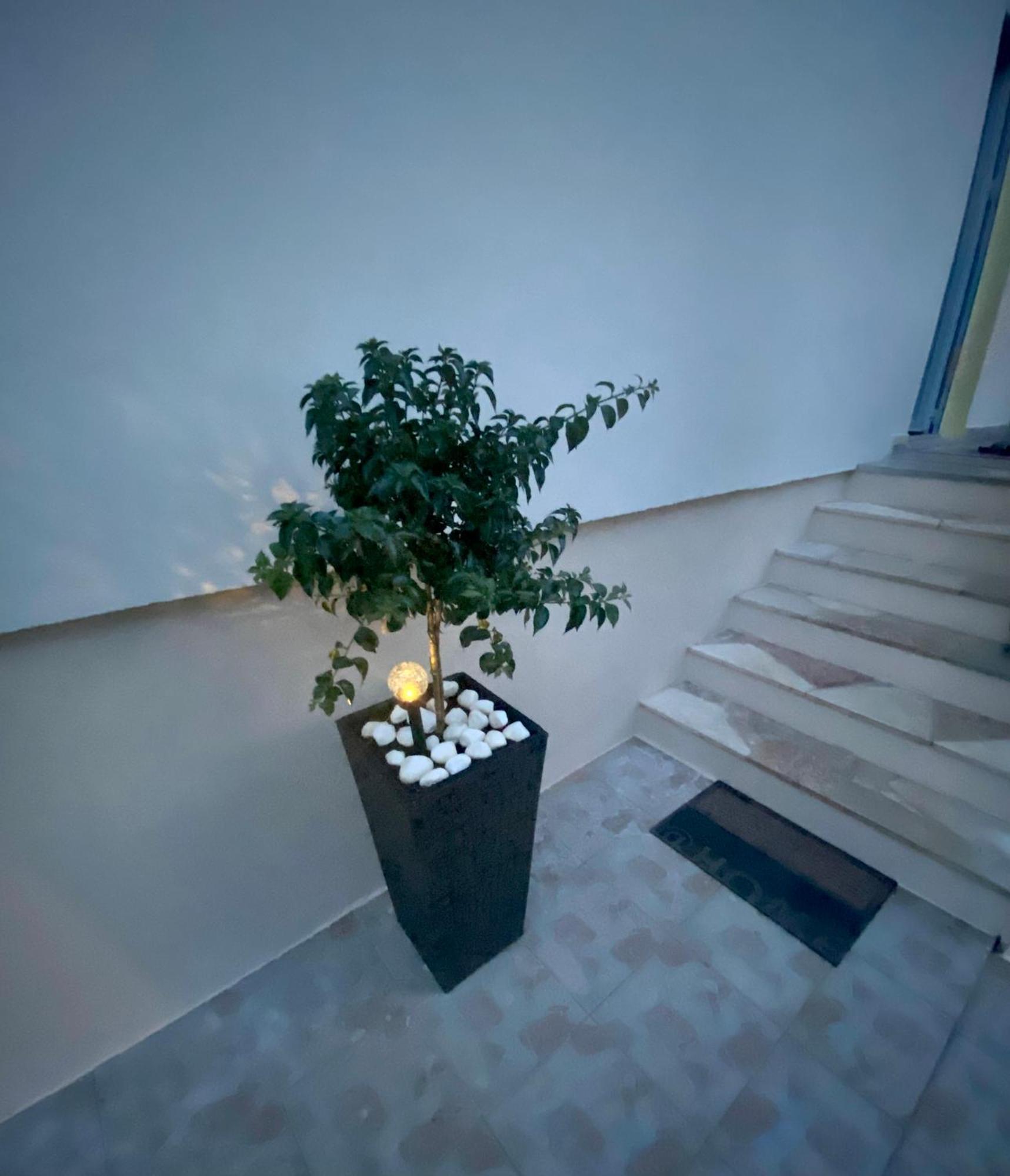 Lumar Holidays And Apartments Preko Extérieur photo